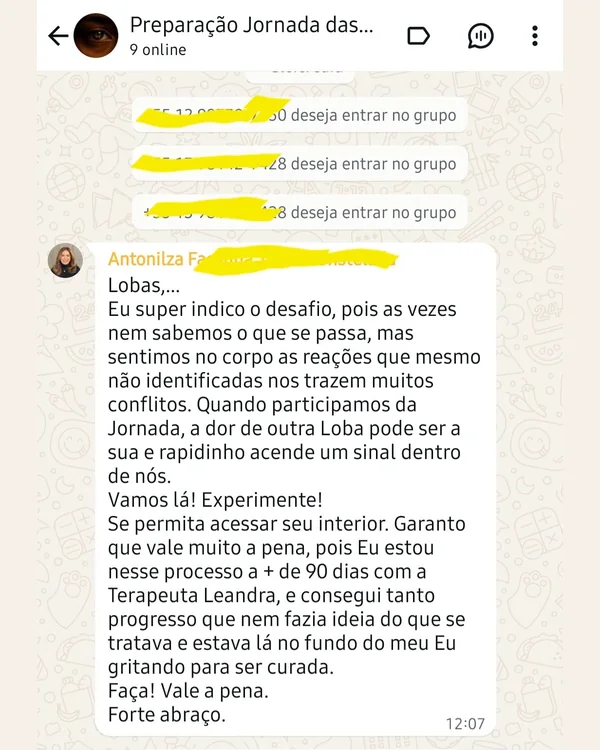 Print de mensagem de Antonilza sobre a Jornada das Lobas