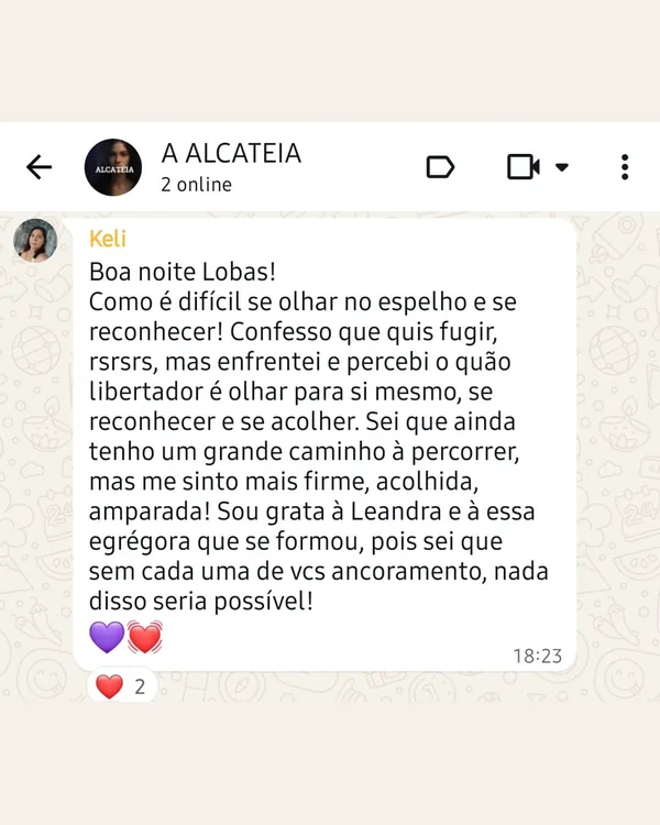 Print de mensagem de Keli sobre a Jornada das Lobas